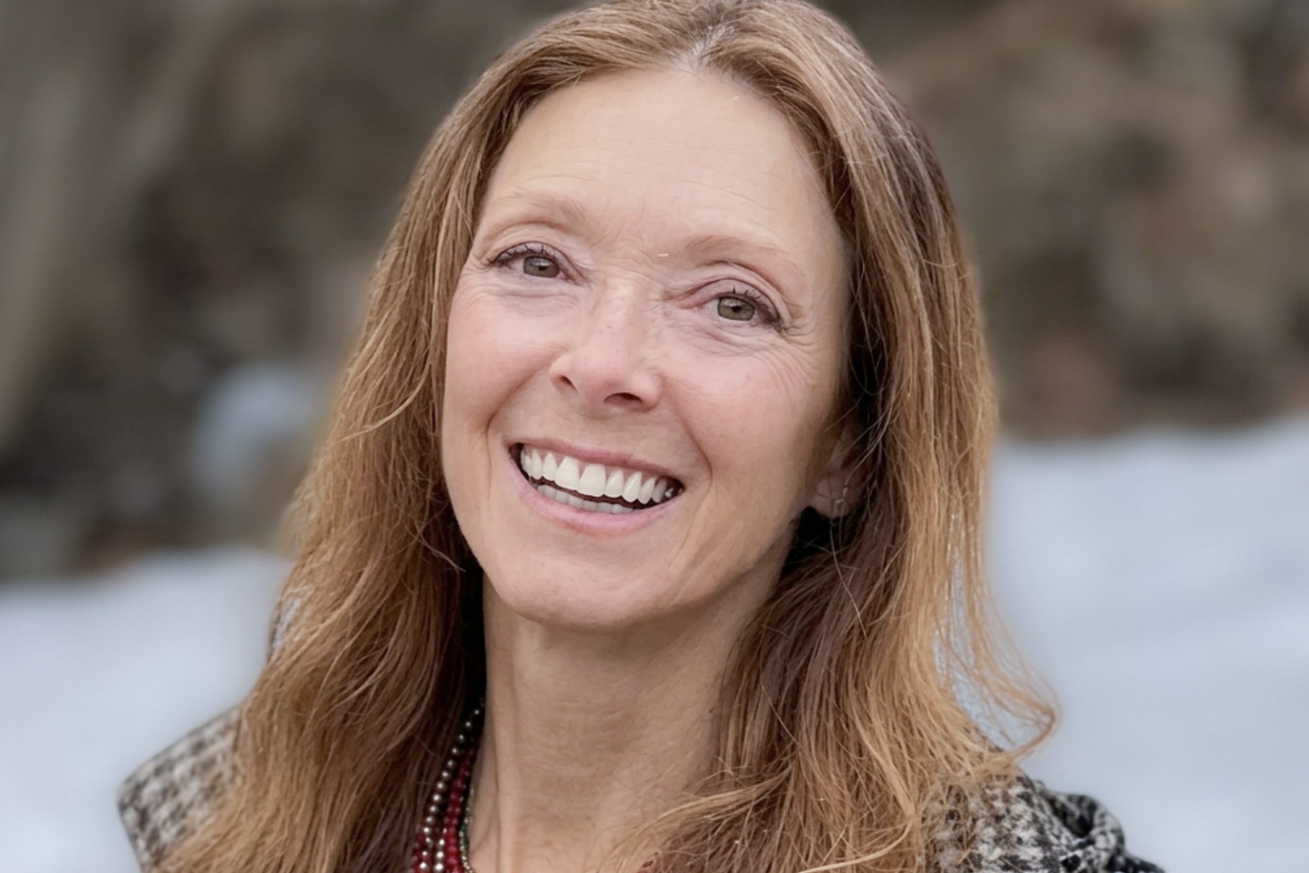 lisa schermerhorn book