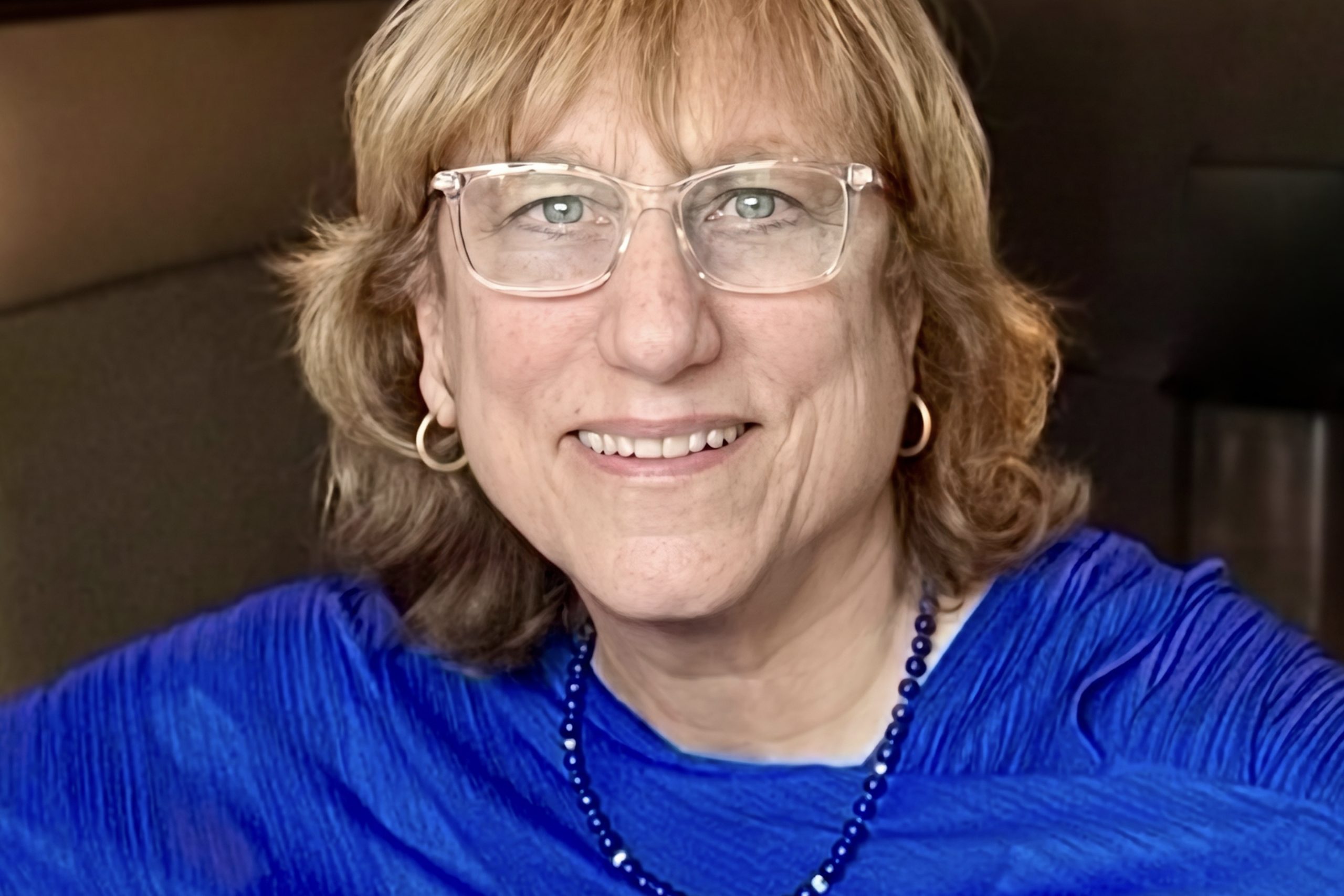 lisa schermerhorn book