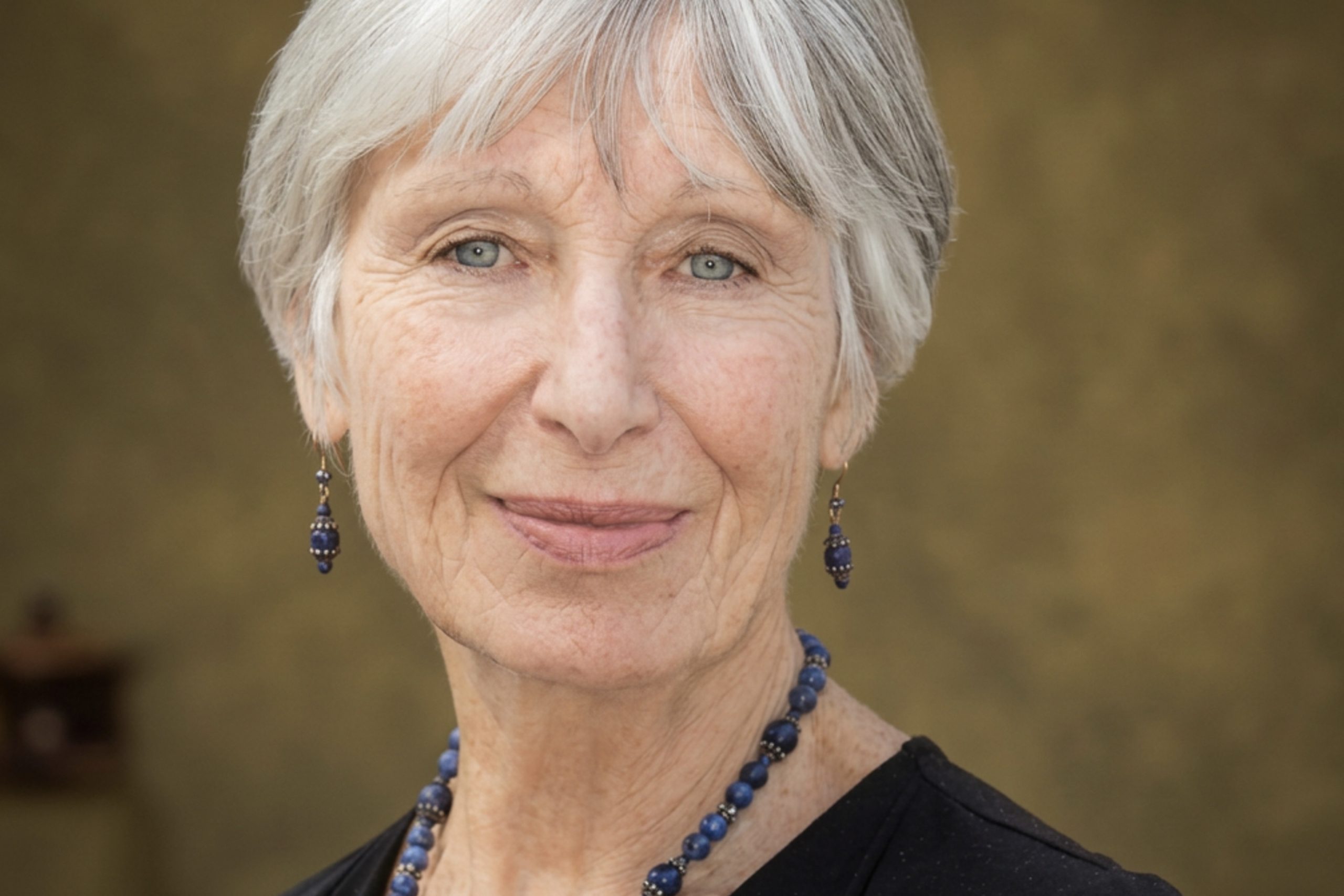 lisa schermerhorn book